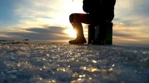 Зимняя рыбалка на окуня | Рыбалка на Чудском озере |  Iseseisvusepäeva ahven Peipsil