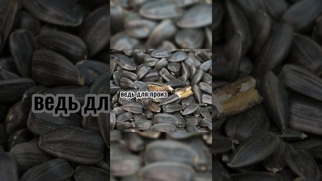 Обман маркетологов! Как продают масло