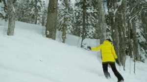 Прелести Зимы