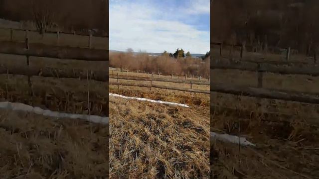 От, Лесные приключения править(4) смотреть онлайн