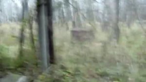 Путишествие по полигону в Кузьминках