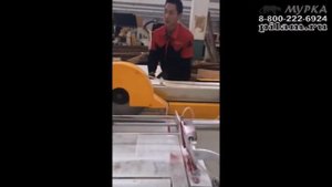 Автоматический торцовочный станок 220x500 китай, купить pilam.ru