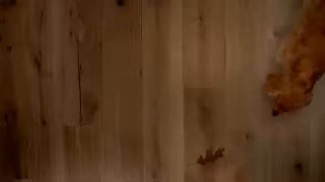 Паркетная доска Quick Step смотреть онлайн