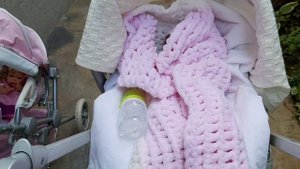 Гуляю с Реборном/ Vlog / Пикник с Реборном / Новая коляска / Прогулка с Реборном/ Reborn day ?