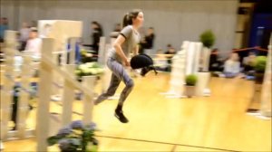 Финляндия-конный спорт без коней-2