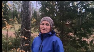 В окружении среды: правила поведения при встрече с диким животным