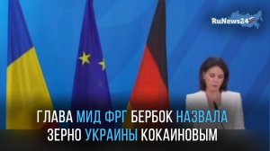 Глава МИД ФРГ Бербок назвала зерно Украины кокаиновым