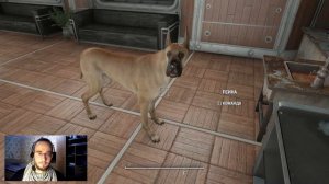TransDOGrifier 🐕 Ошейники Псиноморф Для Изменения Окраса И Породы Псины В Fallout 4 ☢️