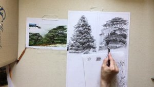 Разные виды деревьев карандашом