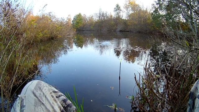 Ловля на пуфик Рыбалка на поплавок осенью смотреть онлайн