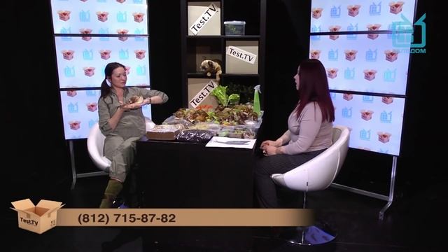 TEST.TV: Все о животных. Улитки Ахатины.