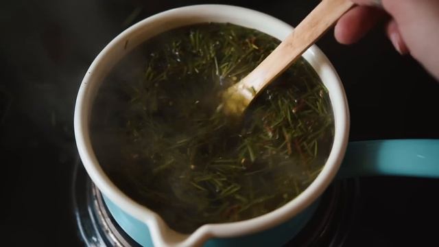 Pine needle & Chaga Tea - How to make healthy forest tea смотреть онлайн