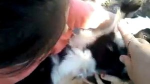 Козлёнок-ребенок