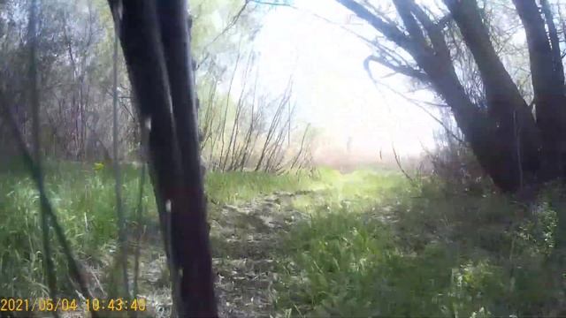 На память. Родное село-деревня Новогольское!