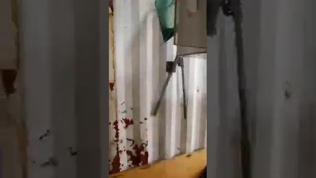 Очистка смородины смотреть онлайн