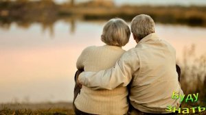 Эта Важная Никотиновая кислота! Нужна всем! Очень ценный витамин....