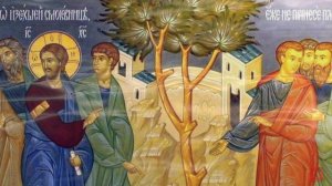 Святой Иоанн Лествичник . О добродетелях и страстях, и о борьбе с последними ч8