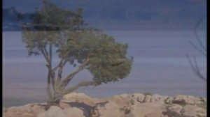 Караоке застольные С ярмарки ехал ухарь купец