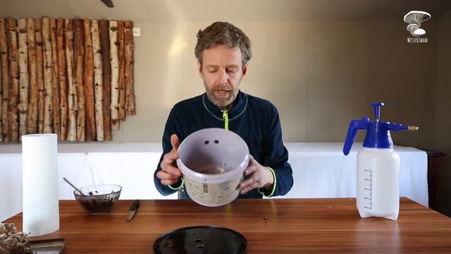 Growkit opnieuw opstarten zonder broed смотреть онлайн