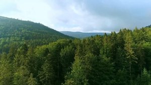 36. Сура ЙА СИН
ЙА СИН