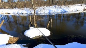 Неожиданная поклёвка на спиннинг! Рыбалка на СКАЗОЧНО красивой реке! Щука в марте 2022
