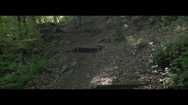 Lumix S5 // Ninja V - 4K 422 50fps Nature Test #1 смотреть онлайн