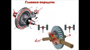 17) Карданная передача, главная передача, дифференциал