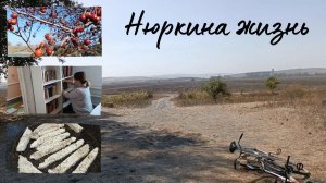 Мотивация на уборку // Набрали боярышника // Готовлю сыр панир // Нюркина жизнь