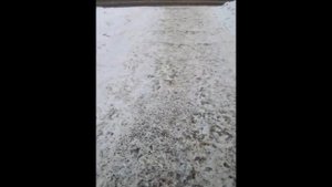 ИДПС нарушает ПДД в Воронеже