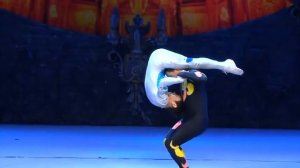 Великий Китайский Цирк (2014)