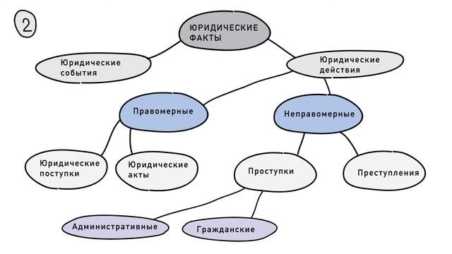Юриспруденция. Основы права. Юридические факты. Понятие и классификация .