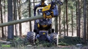 logging machines  Interesting video  Лесозаготовительные машины