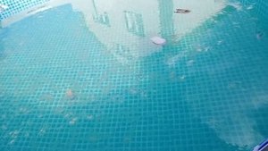 Чтобы вода не зеленела ? Чистка бассейна ? Перекись водорода?(Часть 2)
