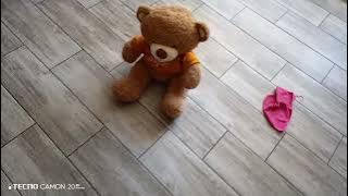 Чихуахуа и плюшевый Мишка)))