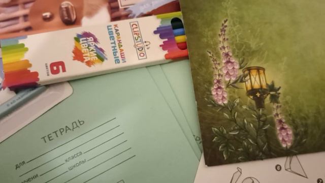 Какие альбомы, тетради, бумагу, игры можно отправлять в СИЗО. смотреть онлайн