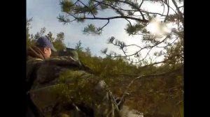 Поездка на Вервижский Мох на вездеходе