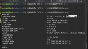 Terminal : I Using Mediainfo + Grep to Show Me Less Metadata From Randoname.m4a File On My Computer