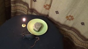 Авторский ритуал Инги Хосроевой. От крыс и мышей в доме... для всех.