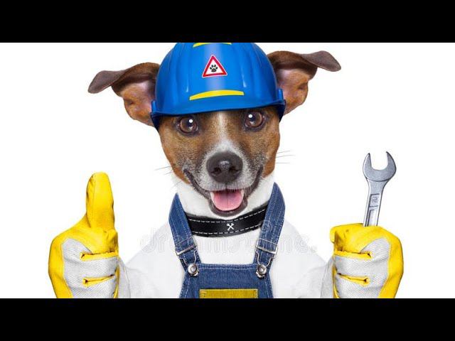 ЭЛЕКТРИК В ДЕЛЕ ,СОБАЧКА ЭЛЕКТРИК смотреть онлайн