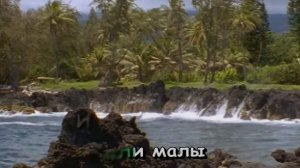 Генералам 12 года