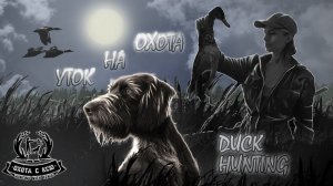 Охота на уток на вечерней тяге, девушка охотник / Duck hunting, girl hunter