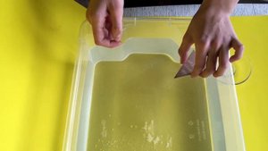 Лодка с мыльным двигателем ?