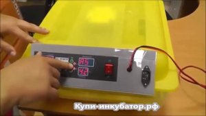 Обзор китайского инкубатора И48-3