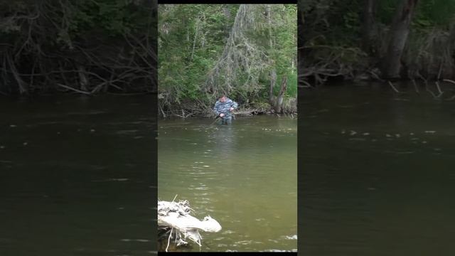 1157 Зацеп злейший ВРАГ РЫБАКА ТАЙГА #дмитрийяков #тайга #рыбалка #fishing #выживалово #выживание