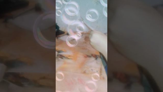 С чистого листа смотреть онлайн