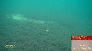 Техника ловли окуня, судака и щуки на балансиры AKARA 05, обзор, Братья Щербаковы