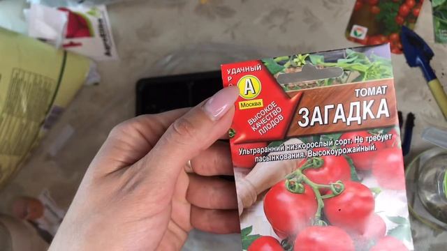 Жизнь в деревне?/ Как вырастить помидоры и огурцы в домашних условиях?/ Мой дебют, в садоводчестве