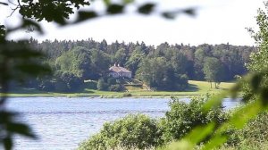 Стихотворение А.С. Пушкина  «Сожженное письмо»