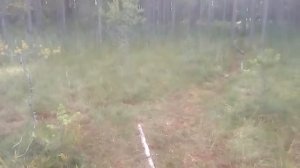 Ненимяки, Озеро недалеко от озера Белого.