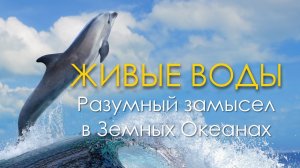 ЖИВЫЕ ВОДЫ - Разумный замысел в земных океанах